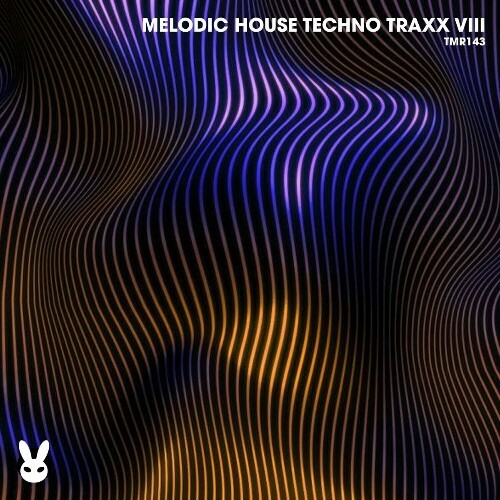 Melodic House Techno Traxx Viii (2024)