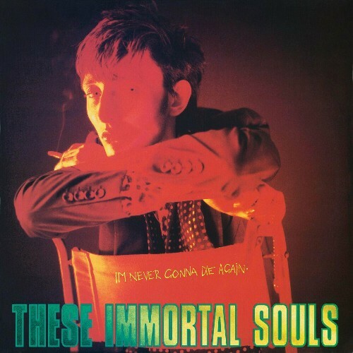  These Immortal Souls - I'm Never Gonna Die Again (2024) 