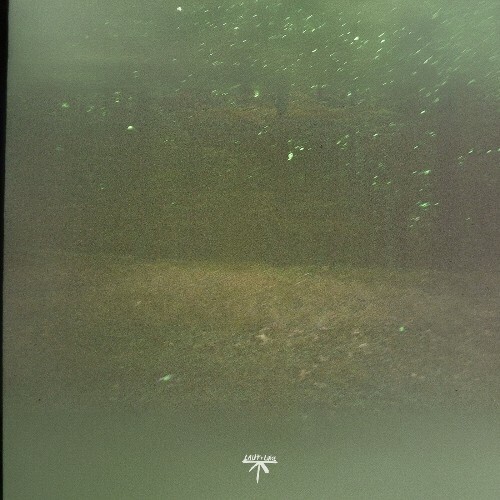  Arutani - Unfading Lines (2025) 