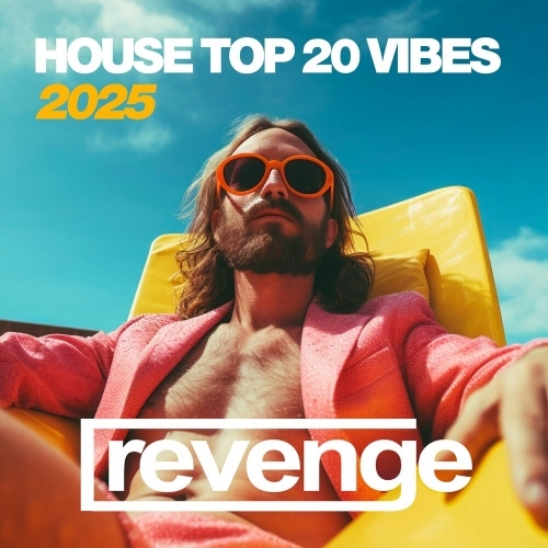  House Top 20 Vibes 2025 (2025) 