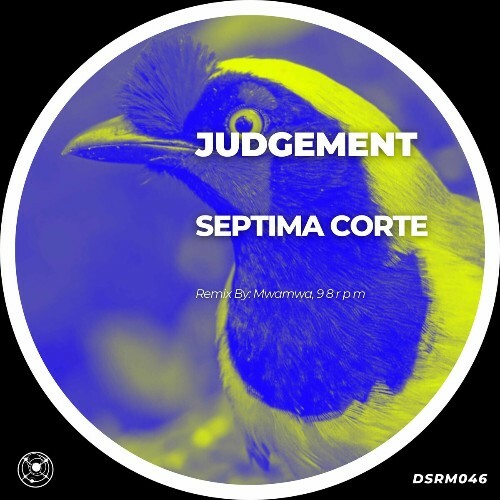 Septima Corte - Judgement (2024)