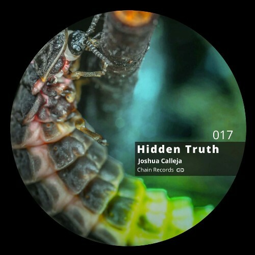  Joshua Calleja - Hidden Truth (2026) 