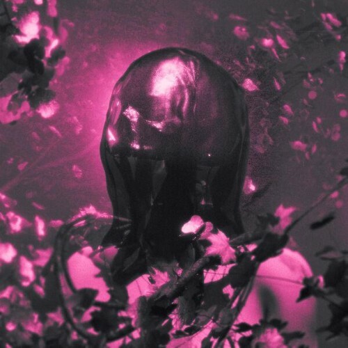  Pinknoise - FLESH AND BONE (2026) 