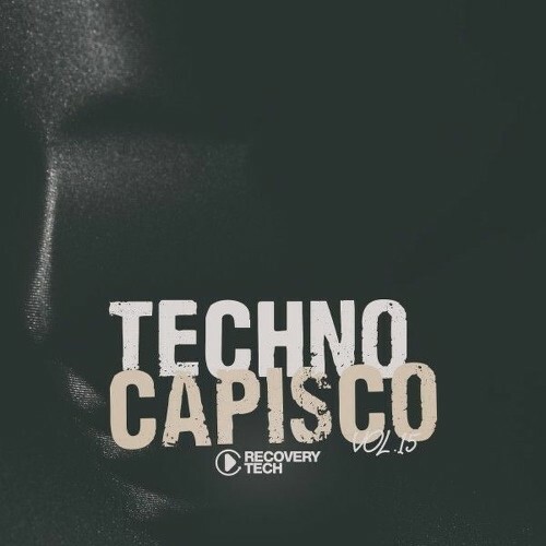 Techno Capisco, Vol. 15 (2025) 