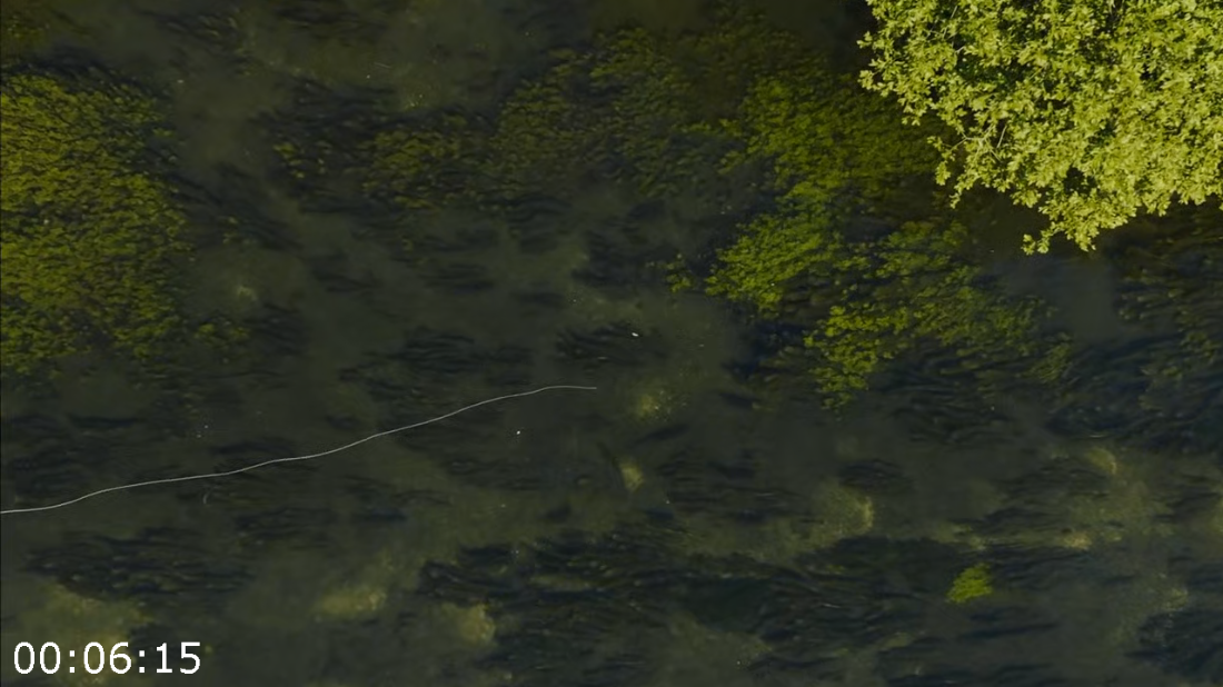 [Image: ME17662V_o.png]