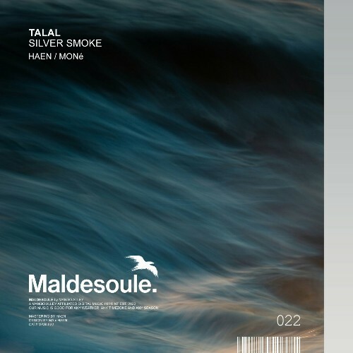 VA - Talal - Silver Smoke (2024) (MP3) METX01Z_o