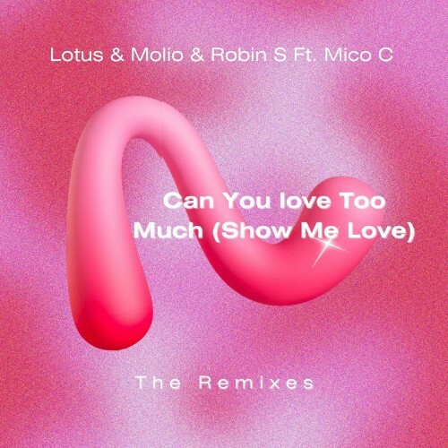  Lotus x Molio x Robin S x Mico C - Can You Love Too Much (Show Me Love) (The Remixes) (2024) 