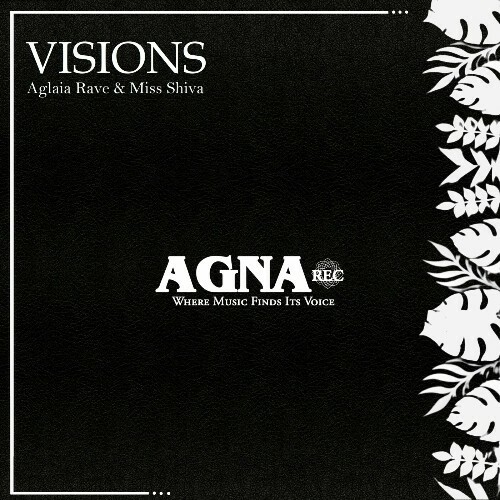 VA - Aglaia Rave - Visions (2024) (MP3) METONIV_o