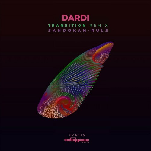 Dardi — Transition Remix (2024)