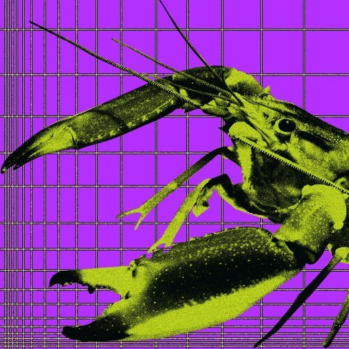  The Mekanism ft. Jorge Bezerra - Do The Disco (2025) 