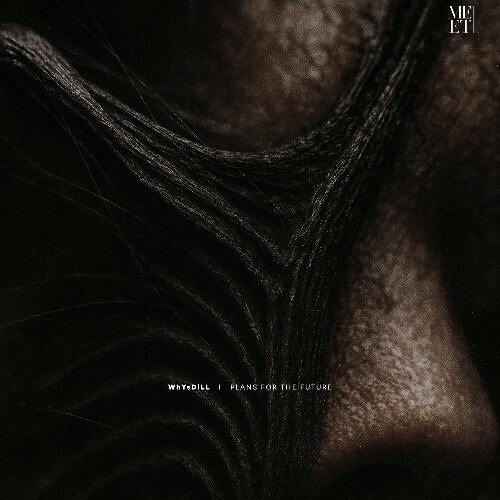  WhYsDiLL - Plans for the Future (2026) 