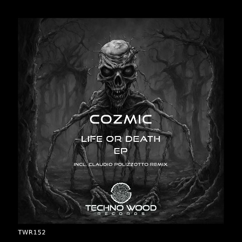  Cozmic - Life Or Death (2025) 