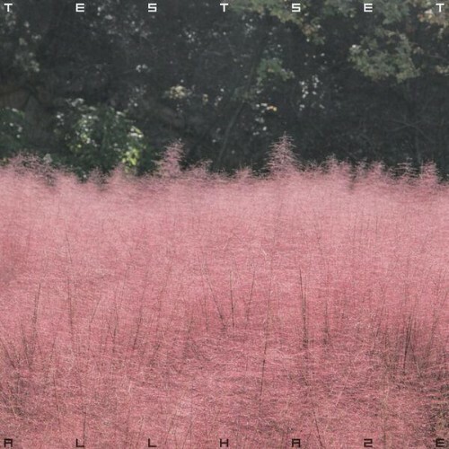  Testset - ALL HAZE (2025) 