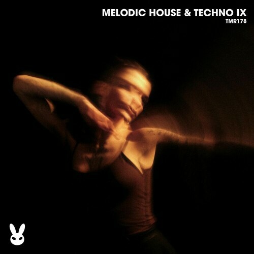 Melodic House & Techno Ix (2024)