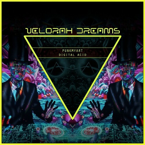  Punkmyart - Digital Acid (2026) 
