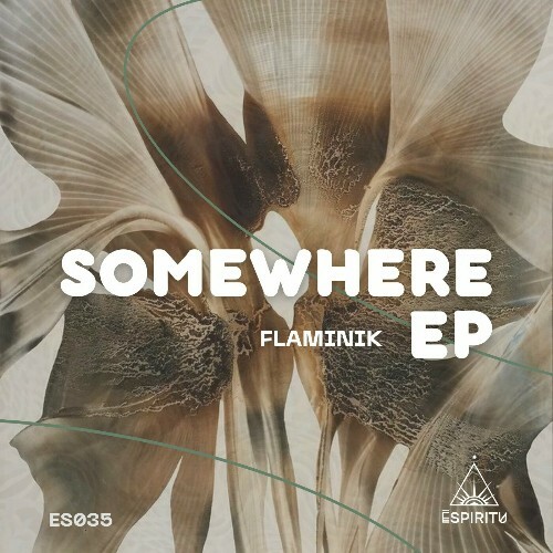  Flaminik - Somewhere (2024) 