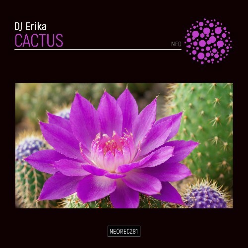  DJ Erika - Cactus (2024) 