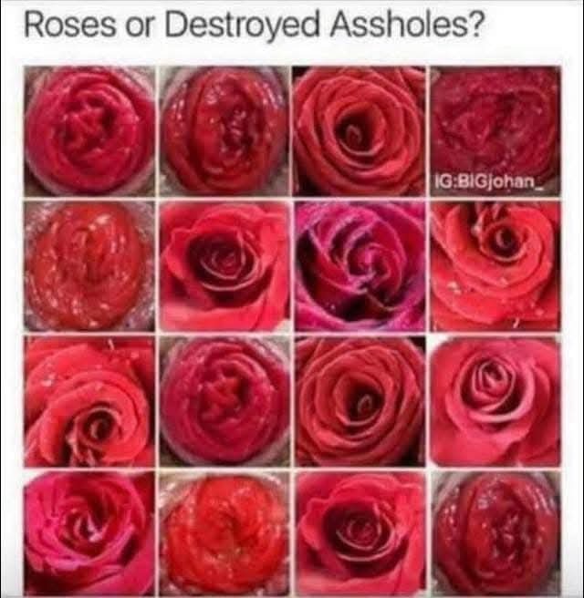 MEZH5G9_o.jpg
