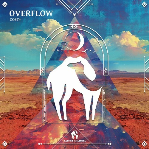  Cost4 - Overflow (2025) 