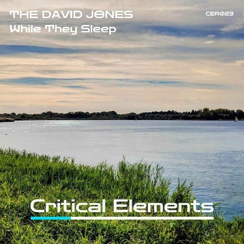 The David Jones - While They Sleep (2025) 