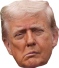 ME15VZ16_o.png