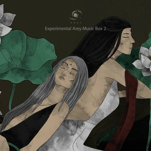  Experimental Arey Music Box 2 (2025) 
