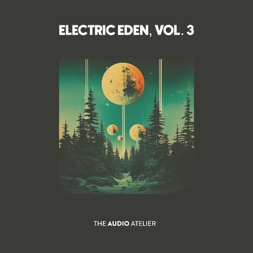  Electric Eden, Vol. 3 (2024) 