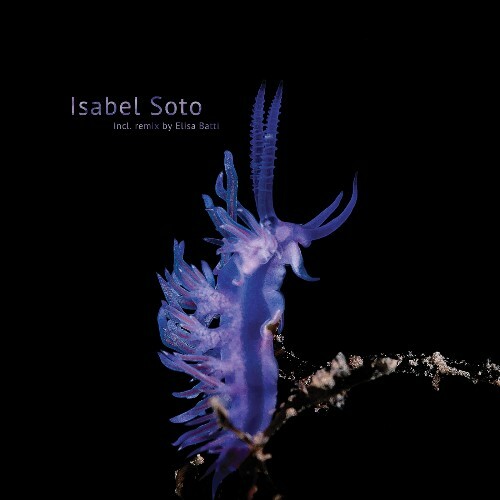 Isabel Soto - Habitat Alteration (2025) Isabel Soto - Habitat Alteration (2025)