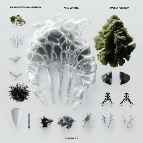  The Illustrated Man & Dibidabo - What You Feel (2025) 