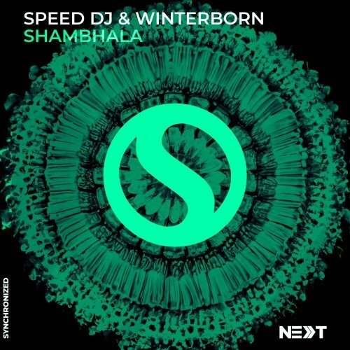 VA - Speed DJ & WINTERBORN - Shambhala (2024) (MP3)