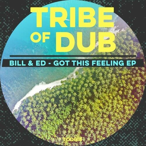 Bill & Ed & Diligent Fingers - Got This Feeling (2023) MP3