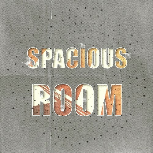  Spacious Room, Vol. 5 (2024) 