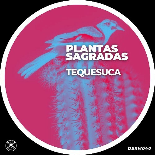 VA - TEQUESUCA - Plantas Sagradas (2024) (MP3)