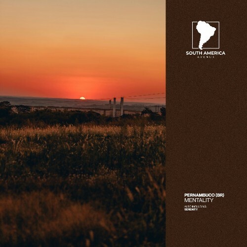 Pernambuco (BR) - Mentality (2026) Pernambuco (BR) - Mentality (2026)