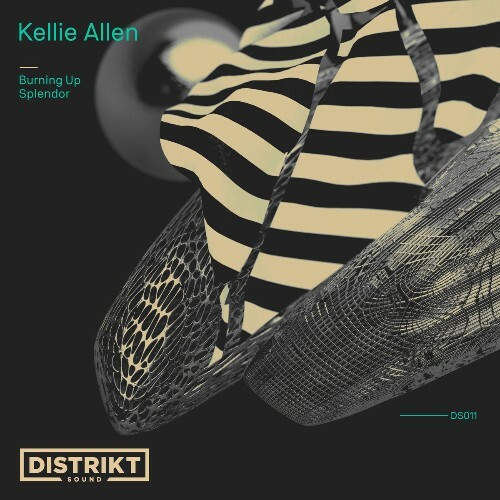  Kellie Allen - Burning Up (2026) 