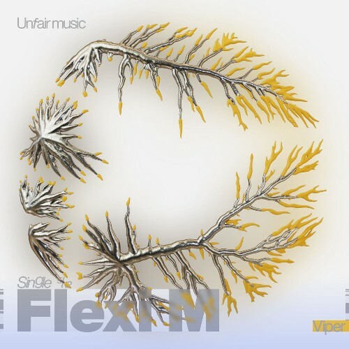  Flexi M - Viper (2026) 