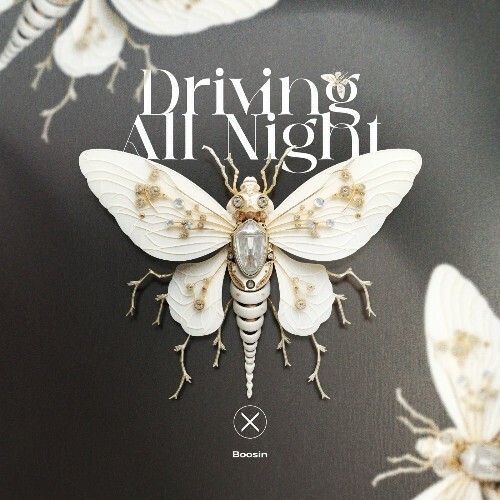  Boosin - Driving All Night (2025) 