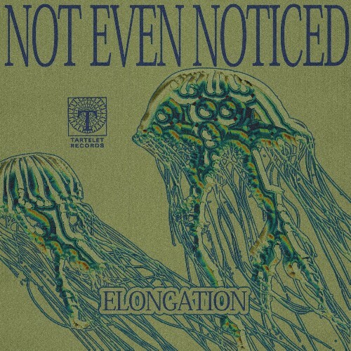  Not Even Noticed - Elongation (2025) 