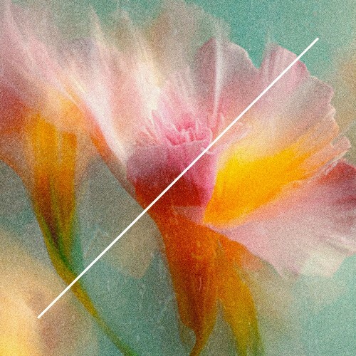  Ben Monday - Let the Magic Flow (2026) 