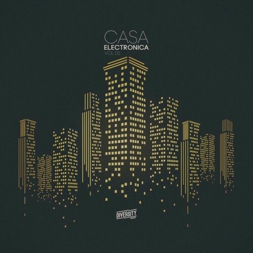  Casa Electronica, Vol.05 (2025) 