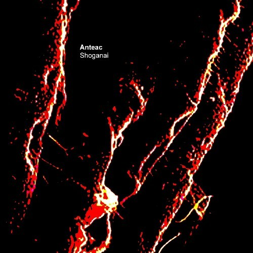  Anteac - Shoganai (2024) 
