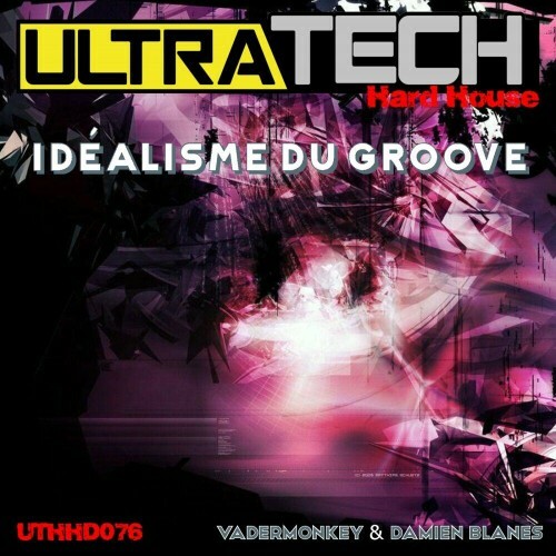 VA - VaderMonkey and Damien Blanes - Idealisme Du Groove (2024) (MP3) MEVA910_o