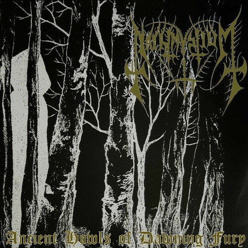 Nachtmystium - Ancient Howls of Dawning Fury (2025) Nachtmystium - Ancient Howls of Dawning Fury (2025)