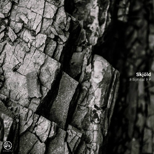 VA - Skjöld - Elliptical (2024) FLAC / 24 bit Hi-Res METSU5V_o