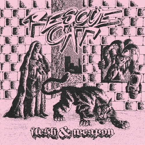  Rescue Cat - Flesh & Weapon (2025) 