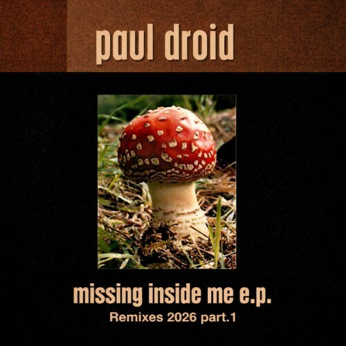  Paul Droid - Missing Inside Me (Remixes 2026 Part.1) (2026) 