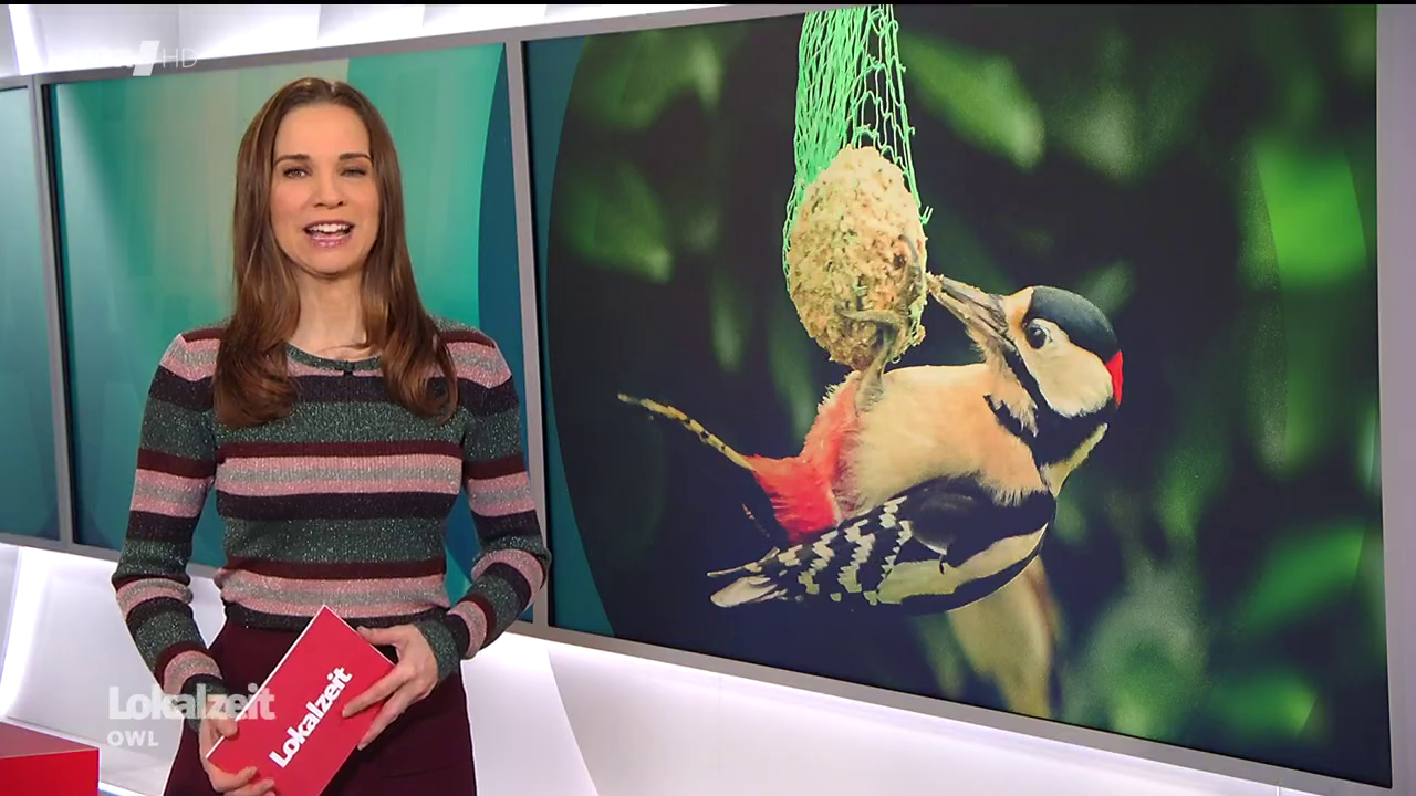 Kristina Sterz - °WDR Lokalzeit OWL° 18.12.2023 - 91X Caps_88.png