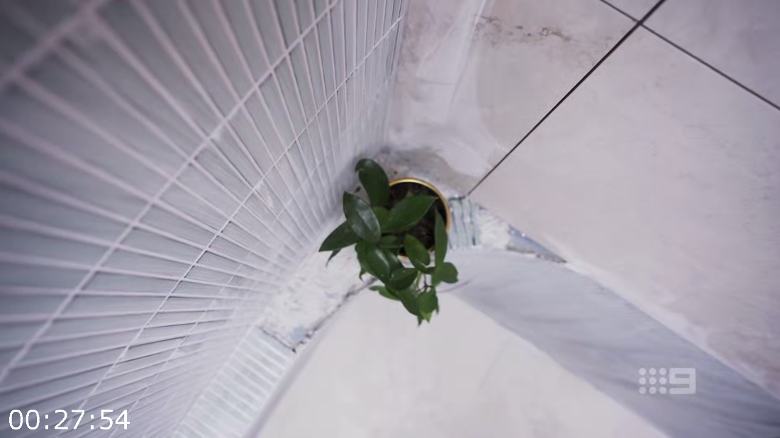 [Image: ME16GLGG_o.png]