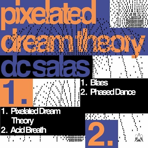 VA - DC Salas - Pixelated Dream Theory (2024) (MP3) METPII8_o