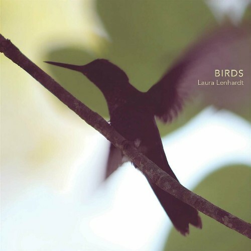  Laura Lenhardt - Birds (2025) 